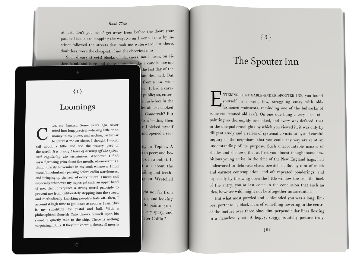 Premise Example Book Premise — Literary Fiction Book Template | Word & InDesign – Book ...