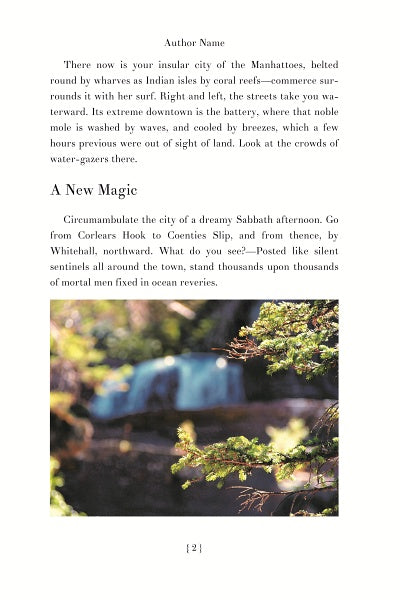 Premise Example Book Premise — Literary Fiction Book Template | Word & InDesign – Book ...