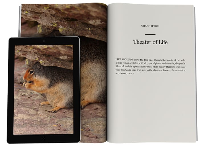 Spectacle – Book Design Templates
