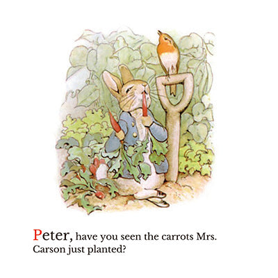 Story Fable – Book Design Templates